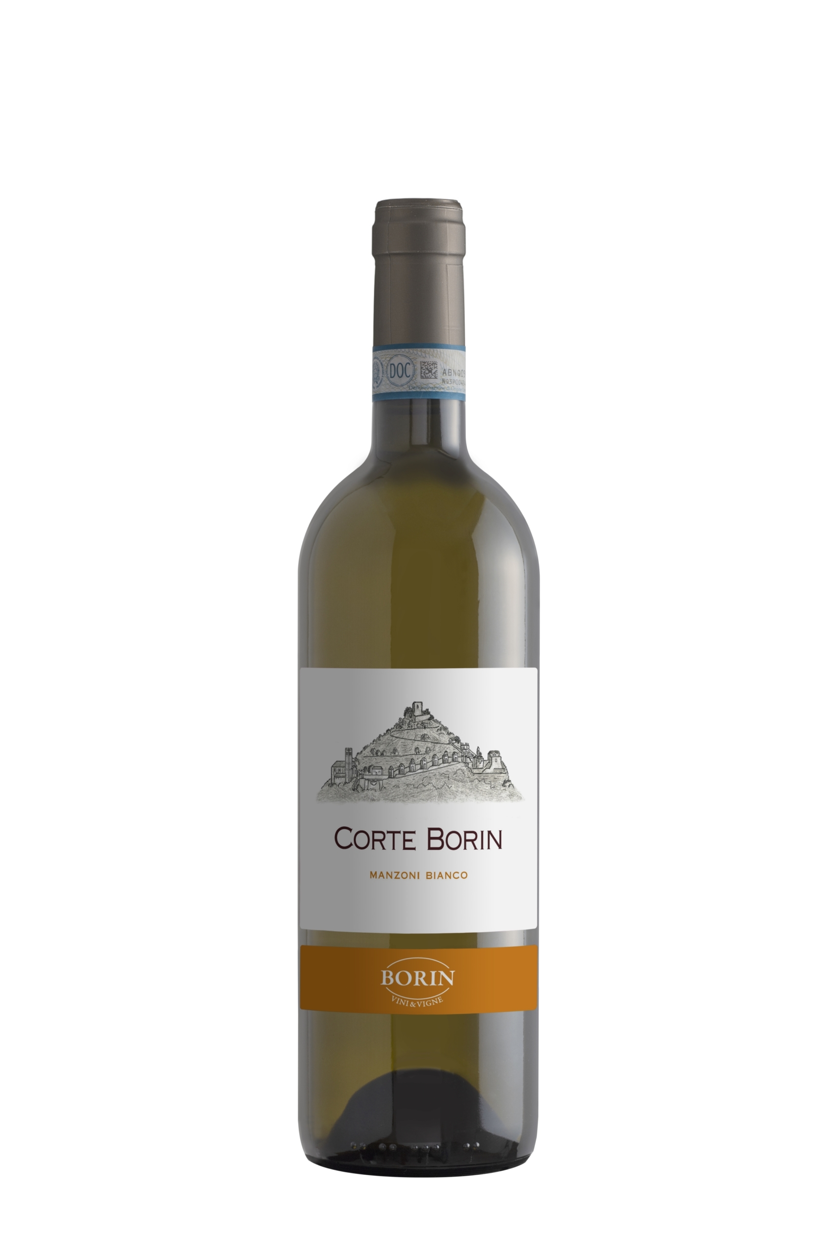 Borin Vini & Vigne
