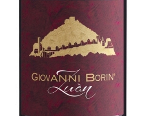 Borin Vini & Vigne