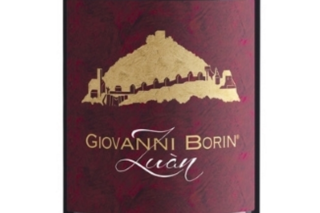 Borin Vini & Vigne
